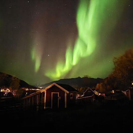 Koselig Dyregard I Tromso Hotell Exteriör bild