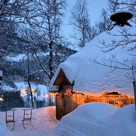Koselig Dyregard I Tromso Hotell Exteriör bild
