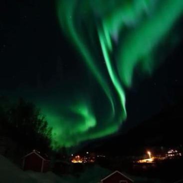 Koselig Dyregard I Tromso Hotell Exteriör bild