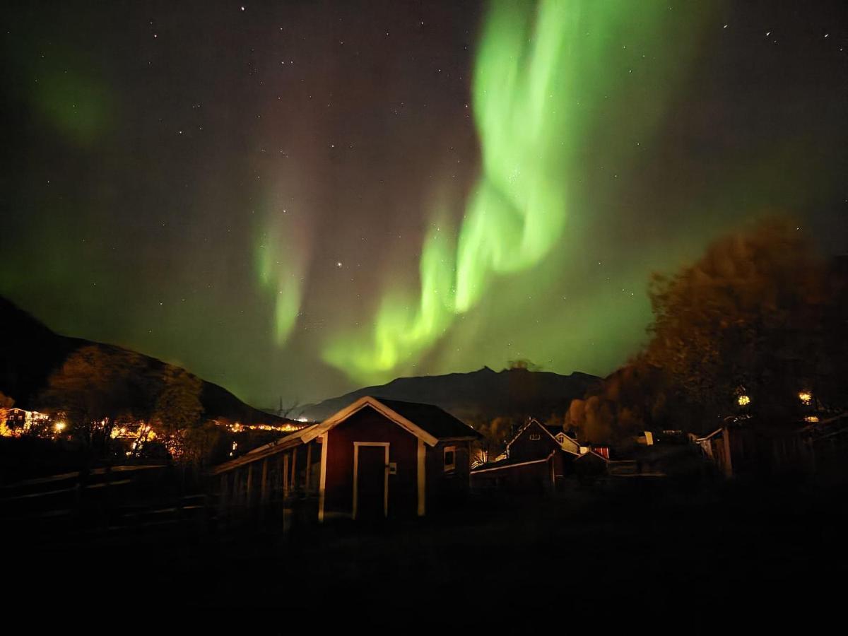 Koselig Dyregard I Tromso Hotell Exteriör bild