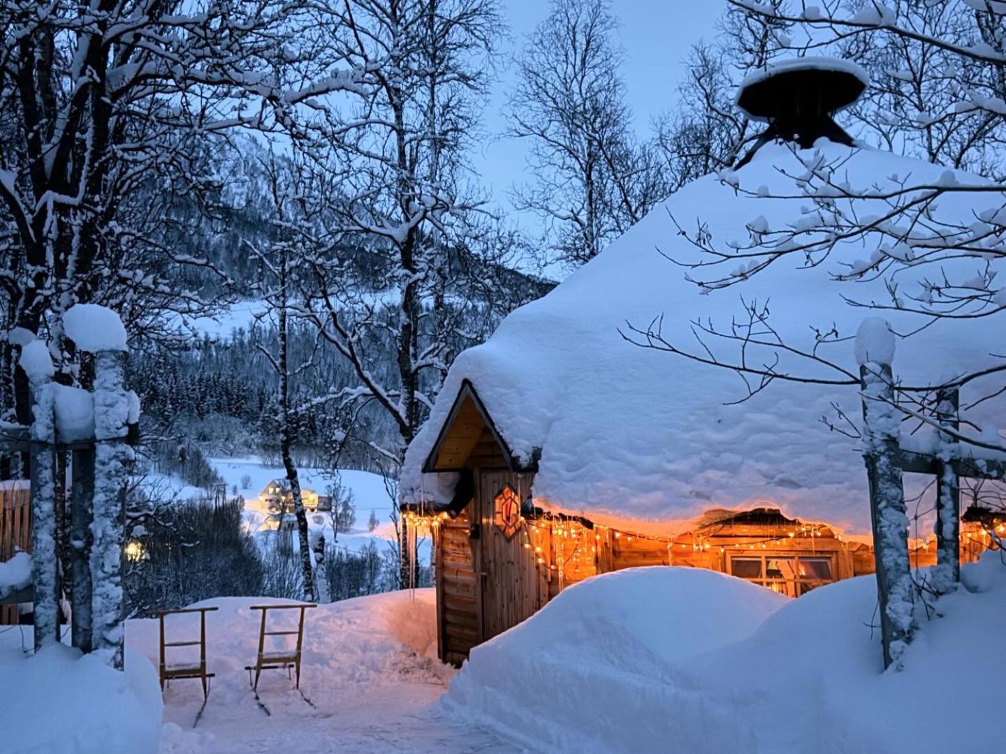 Koselig Dyregard I Tromso Hotell Exteriör bild